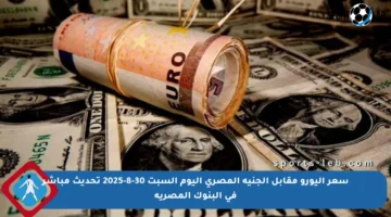 سعر اليورو مقابل الجنيه المصري اليوم السبت 30-8-2025 تحديث مباشر في البنوك المصرية